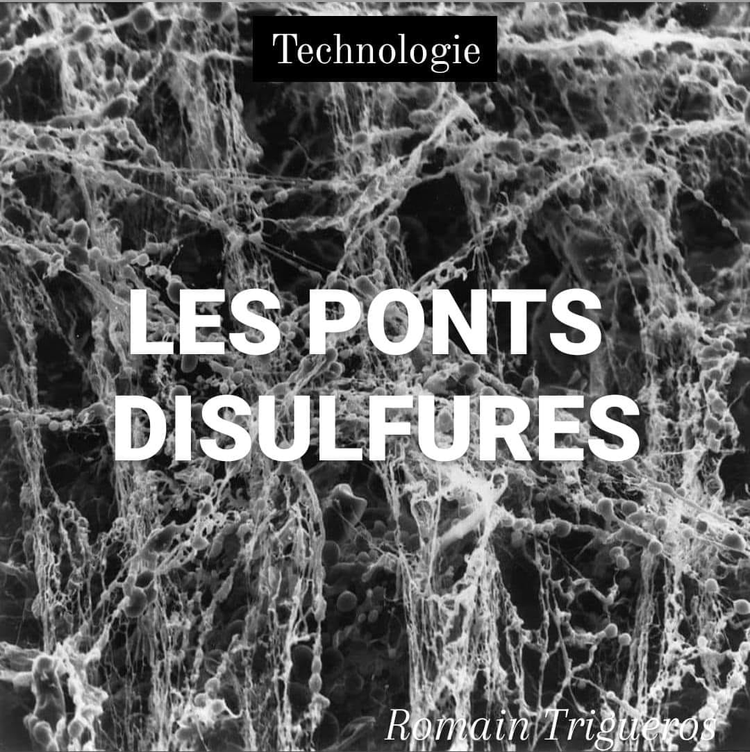 Peut être une image en noir et blanc de texte qui dit ’Technologie LES PONTS DISULFURES Romain riguero’