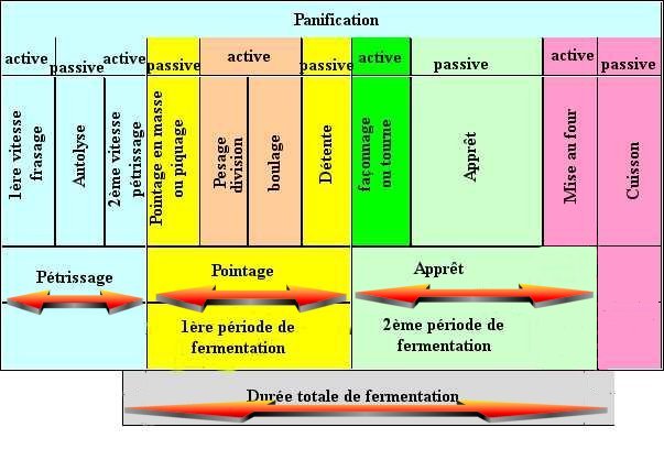 phases3.jpg