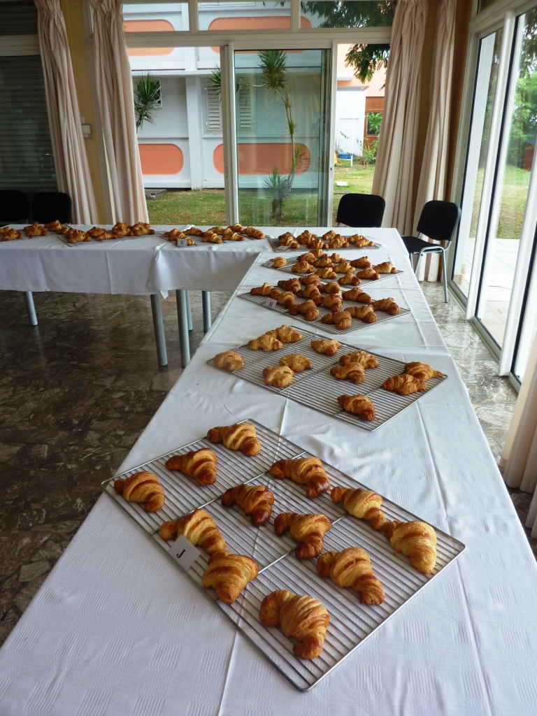 p1050326.jpg